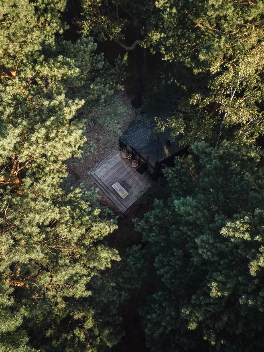 Zdjęcie 3 z galerii ForRest Cabin