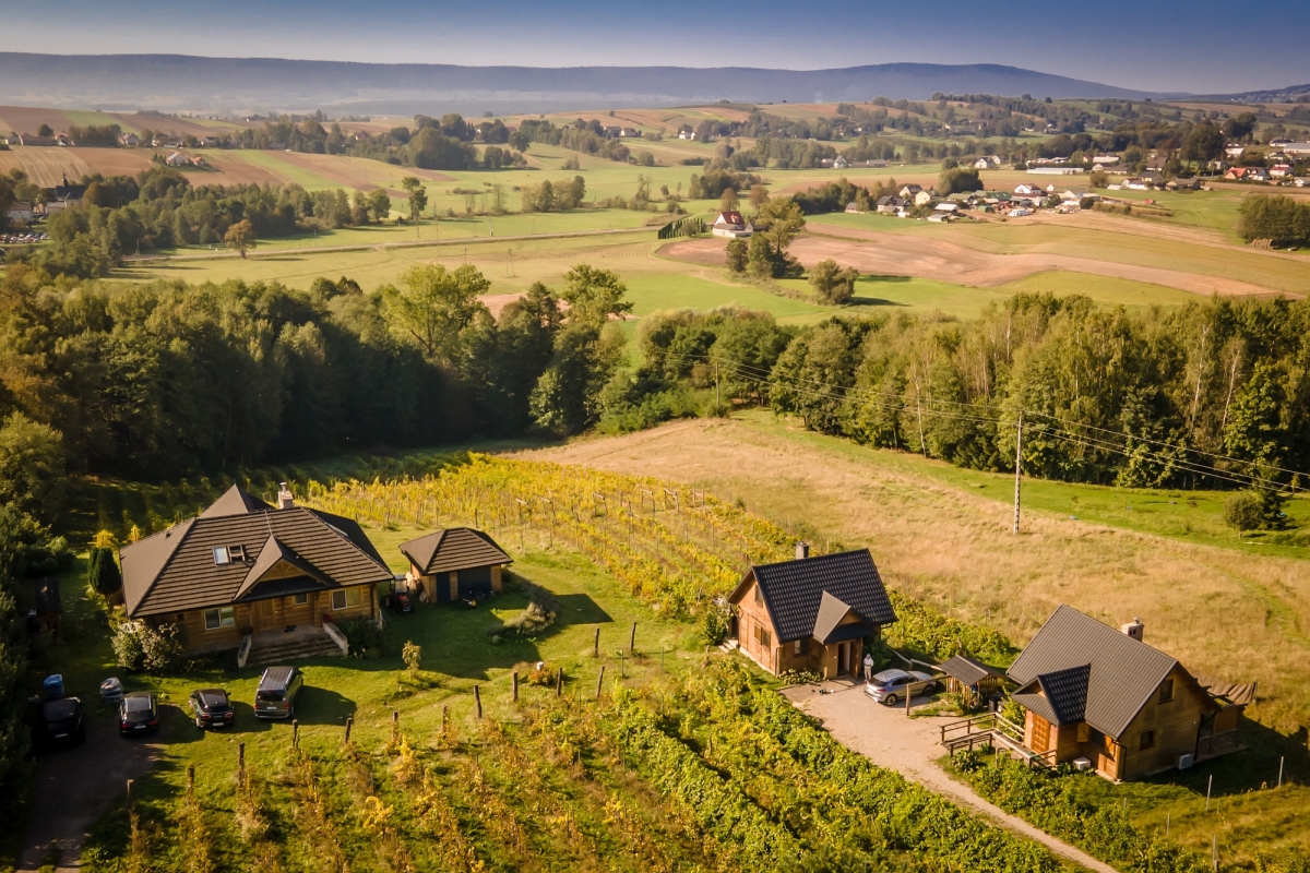 Zdjęcie 2 z galerii Winnica nad Źródłem