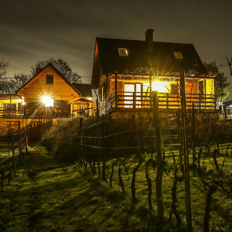 Zdjęcie 3 z galerii Winnica nad Źródłem